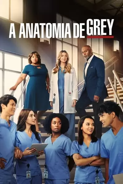 Grey’s Anatomy 19ª Temporada